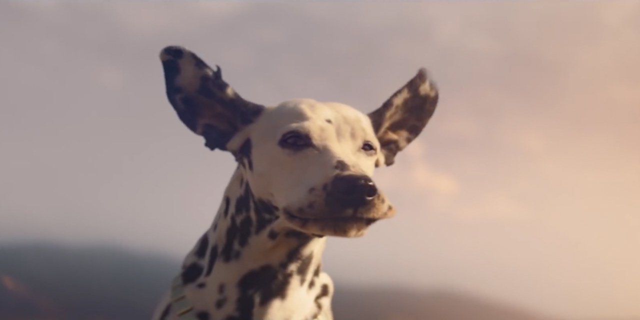 AdWatch: Budweiser | Wind Never Felt Better