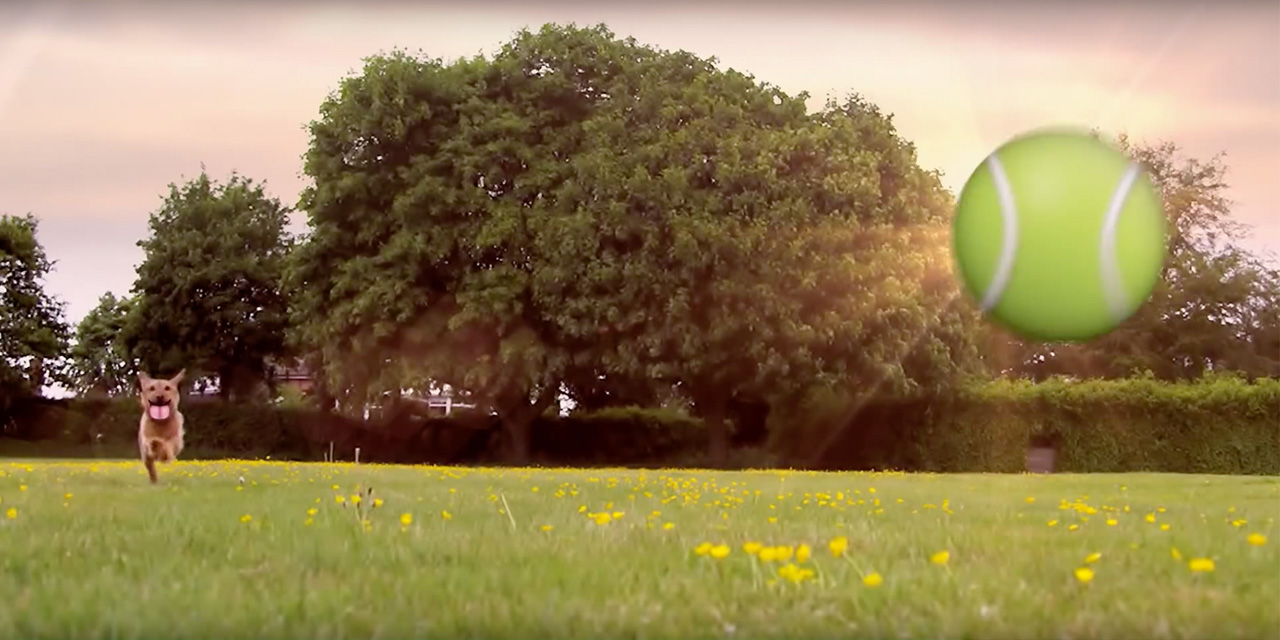 AdWatch: Dissolve | Emoji Among Us