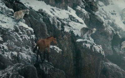 AdWatch: Ford | Raised by Goats