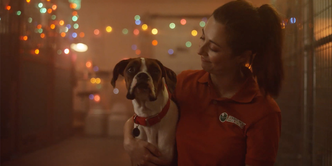 AdWatch: Subaru | Owners Care