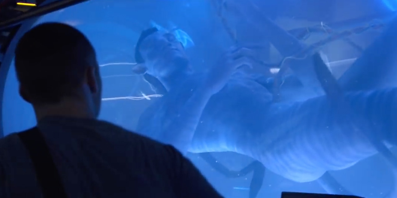 AdWatch: 20th Century Fox | Avatar