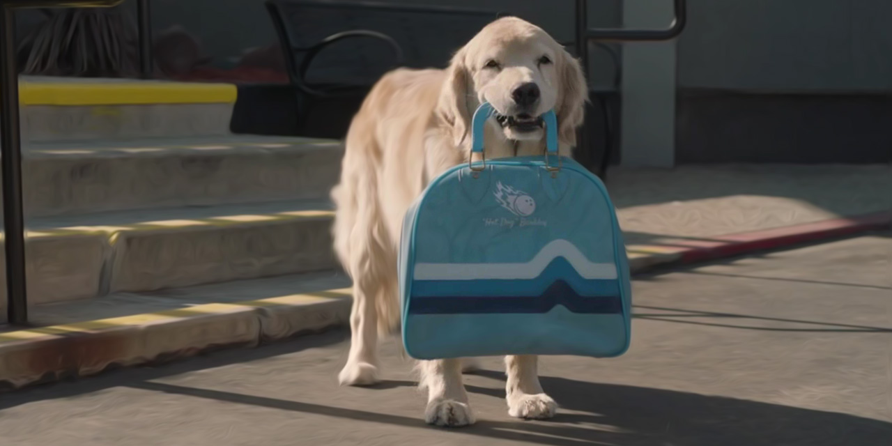 AdWatch: Subaru | The Barkleys – Drive Away