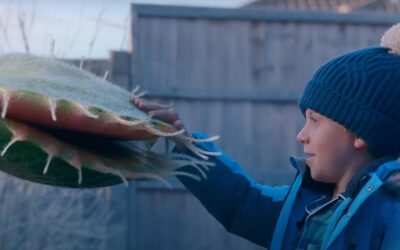 AdWatch: JOHN LEWIS | The Perfect Tree