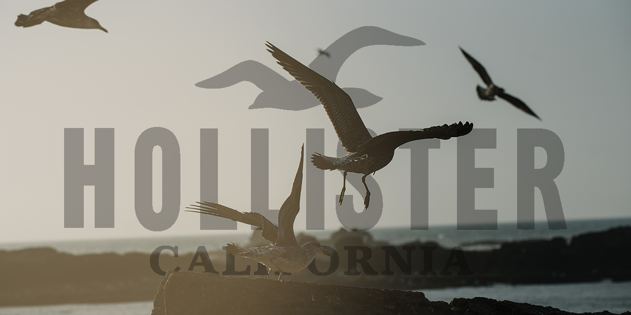 Hollister Flies Seagulls to the Coast