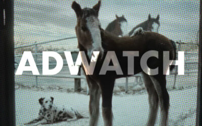 AdWatch: BUDWEISER | American Icons