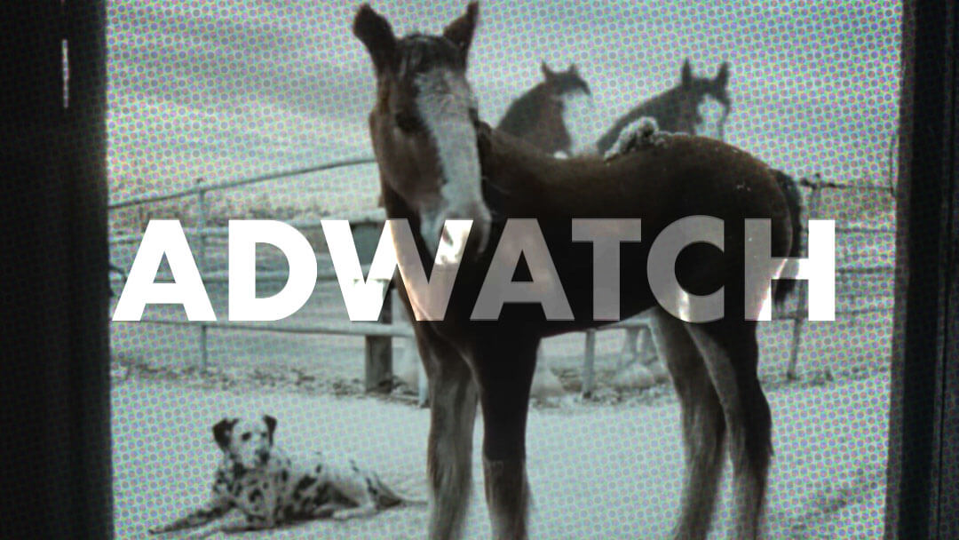 AdWatch: BUDWEISER | American Icons