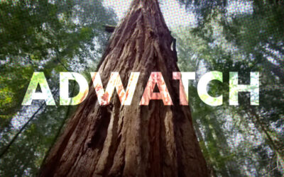 AdWatch: CONSERVATION INTERNATIONAL | Nature Is Speaking Featuring Robert Redford