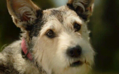 AdWatch: F CANCER | Pick Up Your Poop