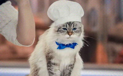 AdWatch: HELLMANN’S | Mayo Cat