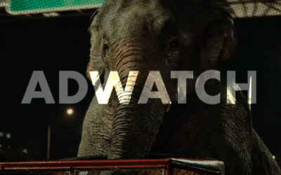 AdWatch: VIRGIN MEDIA | Trunk Trucker