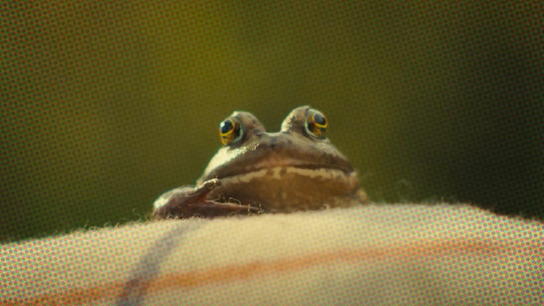 AdWatch: TOAD&CO | Love Your Toad