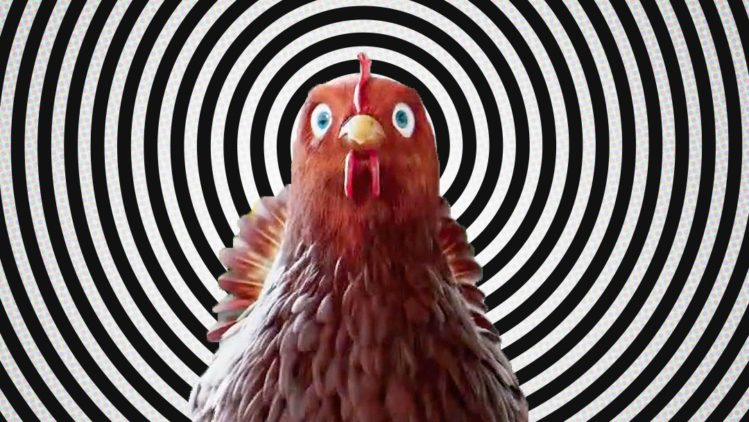 Larry Might Be a Cannibal