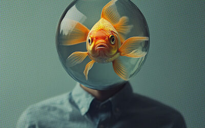 Goldfish Wants You to Literally Forget Your Most Cringe Moments