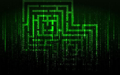 The Municipal Ghost Census