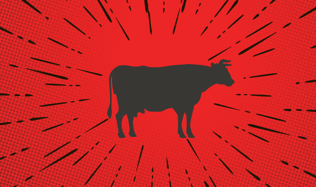 Steak-umm Makes Us Go Hmmm