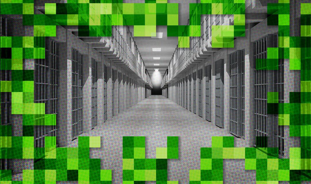 Minecraft goes on… Blockdown During the Pandemic