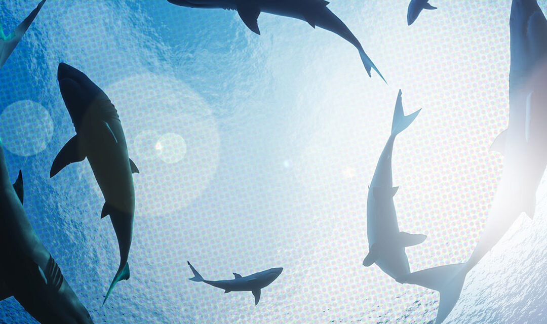 Shark Week Turns 32 with a Slew of Sponsors