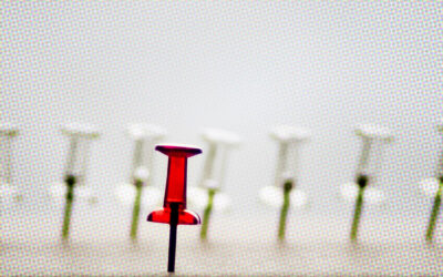 Pinfluencers Inspiring Consumers for Their Next DIY Idea, Home Project and Meal Time