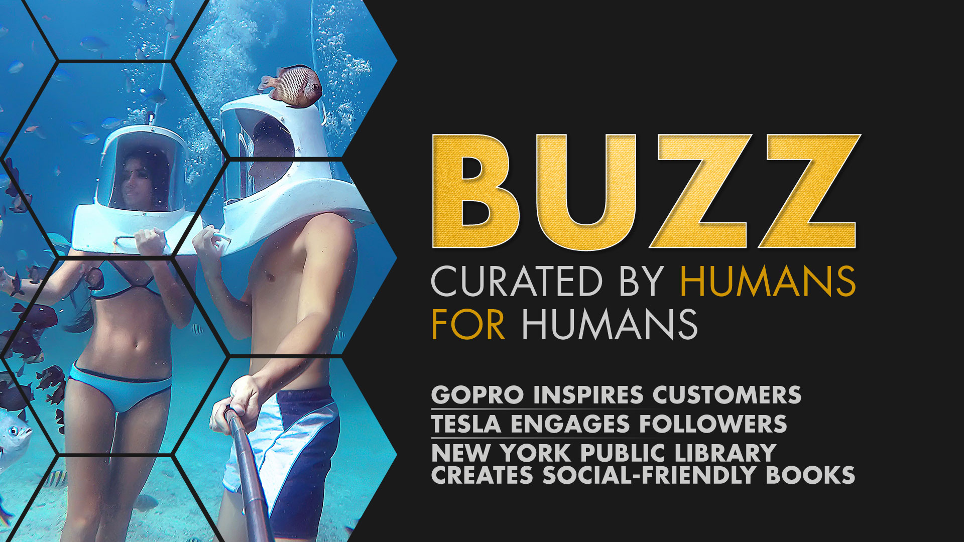Weekly Buzz: GoPro, Tesla, & New York Public Library’s Insta Novels