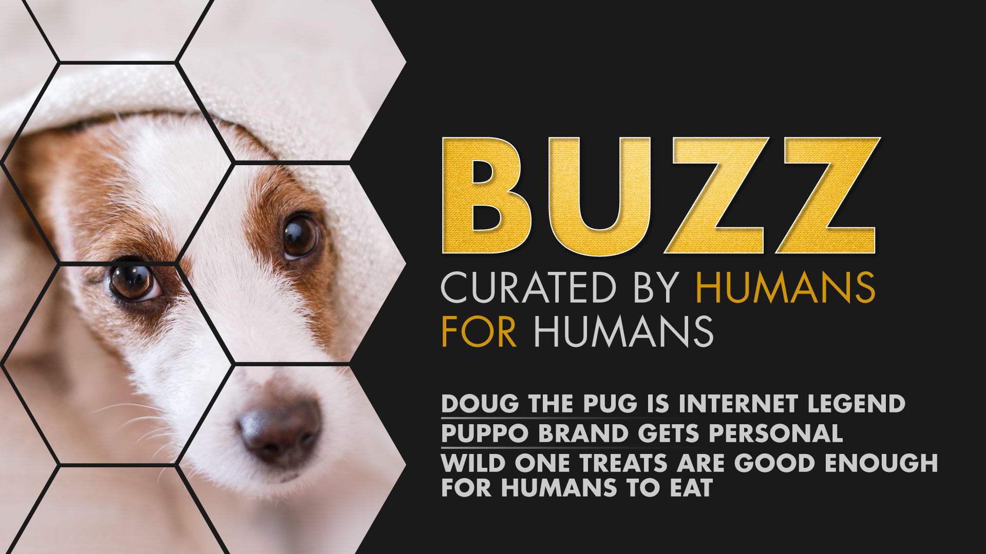 Weekly Buzz: Doug The Pug, Puppo Gets Personal, & Wild One Treats