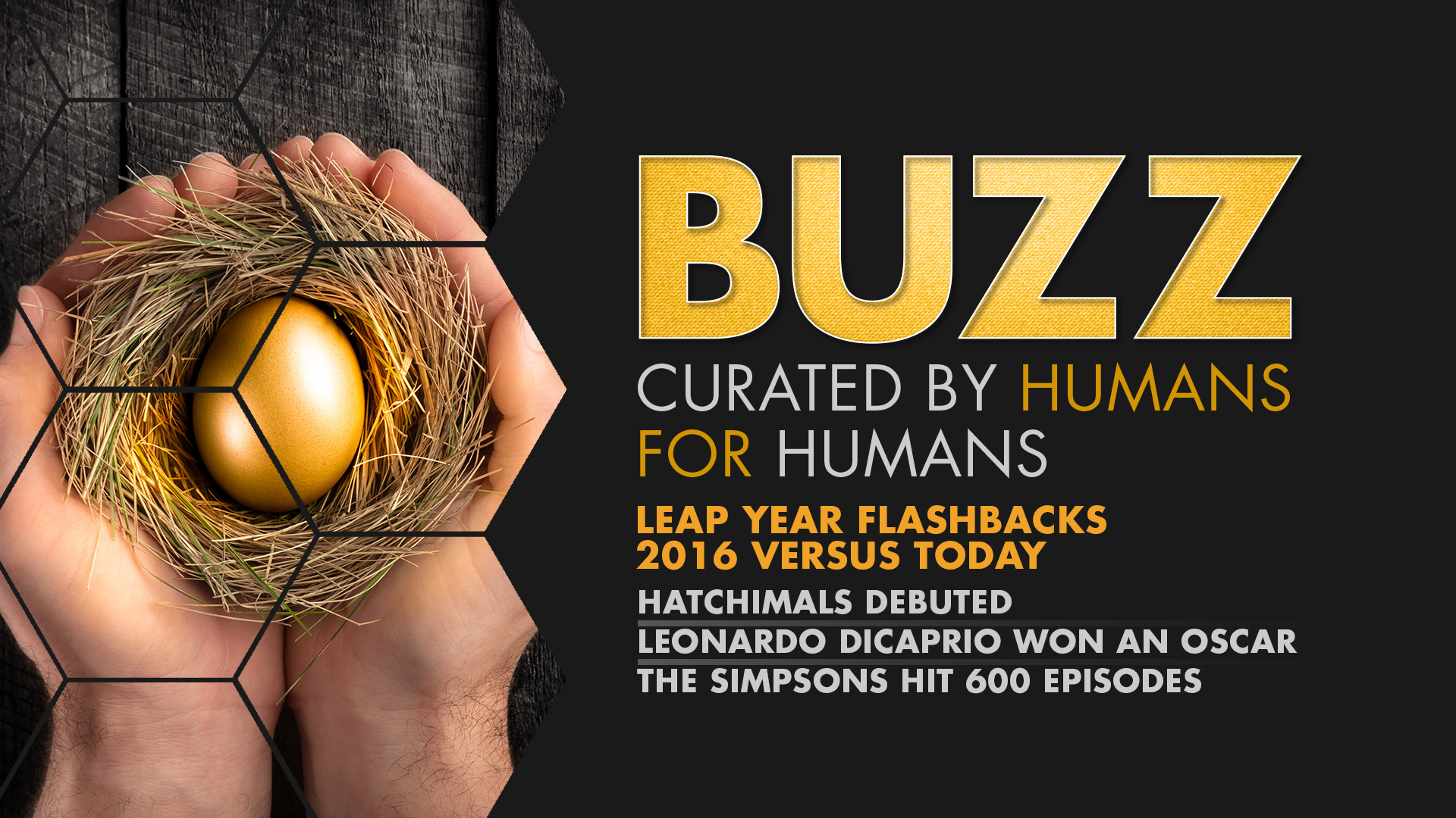 Weekly Buzz: Hatchimals, DiCaprio & The Oscars, & The Simpsons