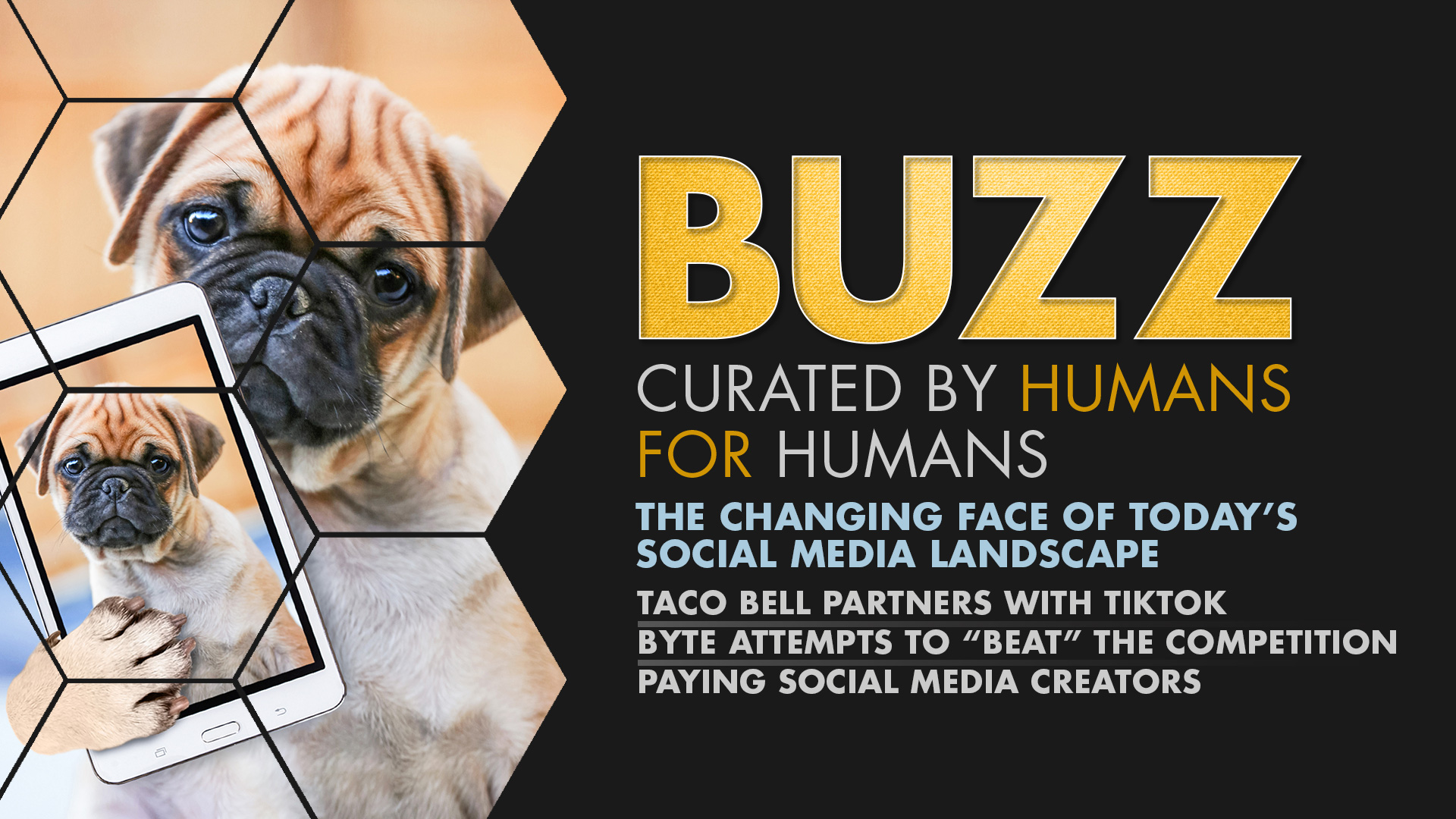 Weekly Buzz: Taco Bell, TikTok, & Byte