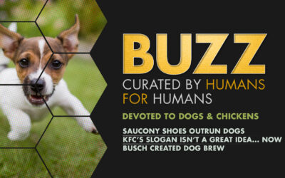 Weekly Buzz: Devoted to Dogs & Chickens