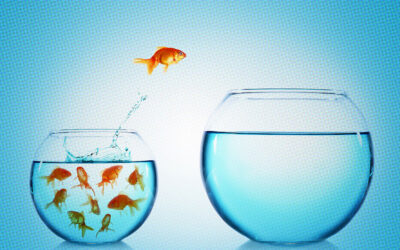 Short-Form vs. Long-Form: Which Content Is King on Social?