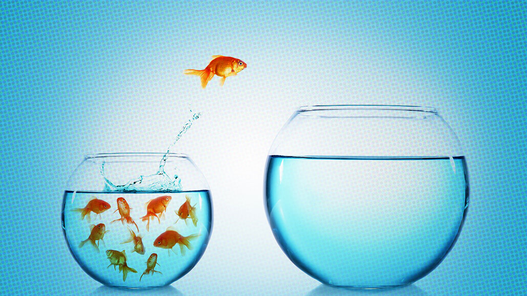 Short-Form vs. Long-Form: Which Content Is King on Social?