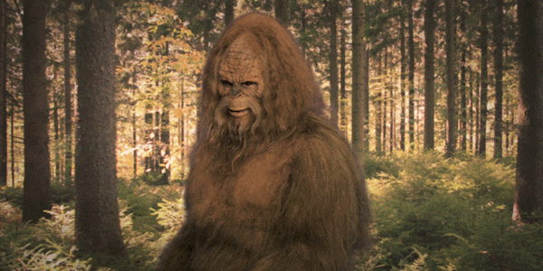 New Store Sells Elusive Sasquatch